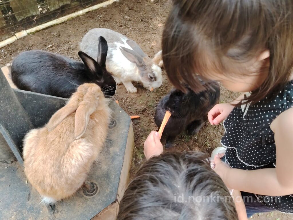 Bogor（ボゴール）のDairyland Farm -うさぎの餌やり