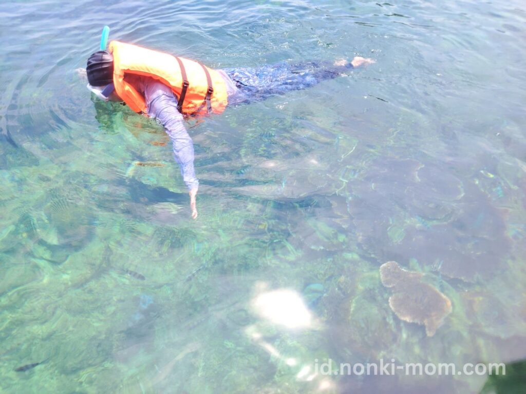 子連れBelitung(ブリトゥン)島-シュノーケリングの様子